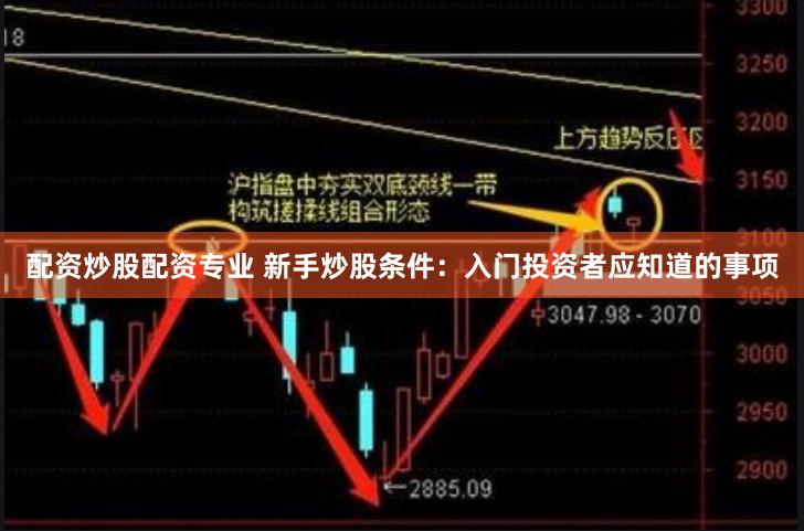 配资炒股配资专业 新手炒股条件：入门投资者应知道的事项