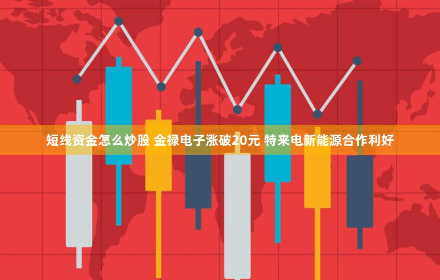 短线资金怎么炒股 金禄电子涨破20元 特来电新能源合作利好