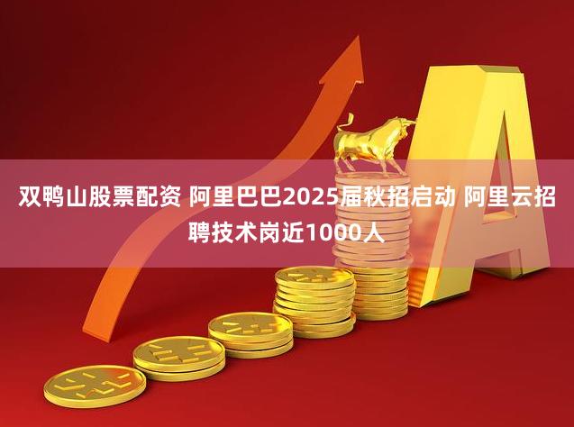 双鸭山股票配资 阿里巴巴2025届秋招启动 阿里云招聘技术岗近1000人