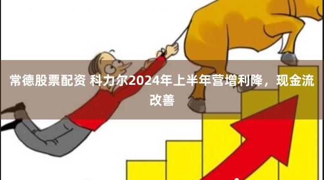 常德股票配资 科力尔2024年上半年营增利降，现金流改善