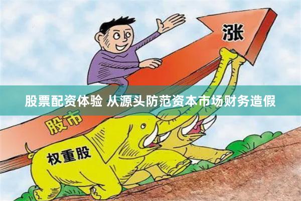 股票配资体验 从源头防范资本市场财务造假