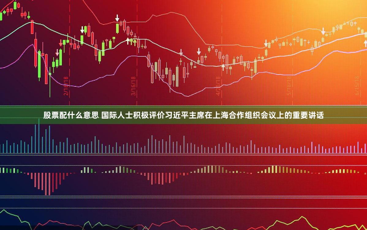 股票配什么意思 国际人士积极评价习近平主席在上海合作组织会议上的重要讲话