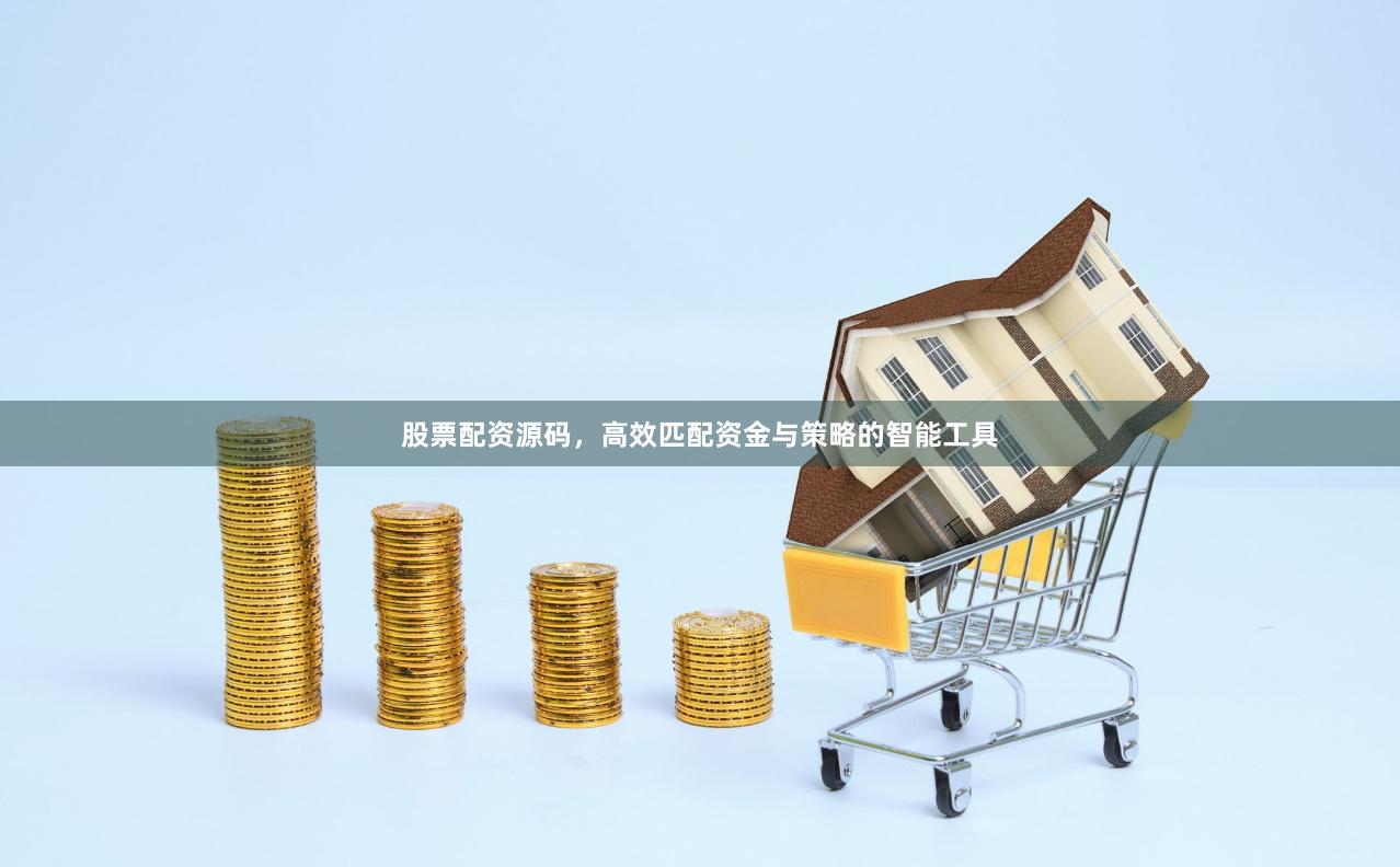 股票配资源码，高效匹配资金与策略的智能工具