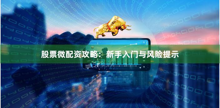 股票微配资攻略：新手入门与风险提示